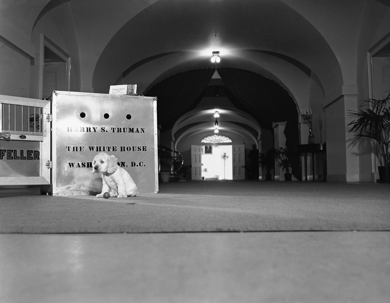 U.S. President Harry Truman Pets Dog Feller
